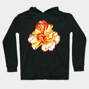 Carnations - Red-Tipped Yellow Carnation Closeup Hoodie